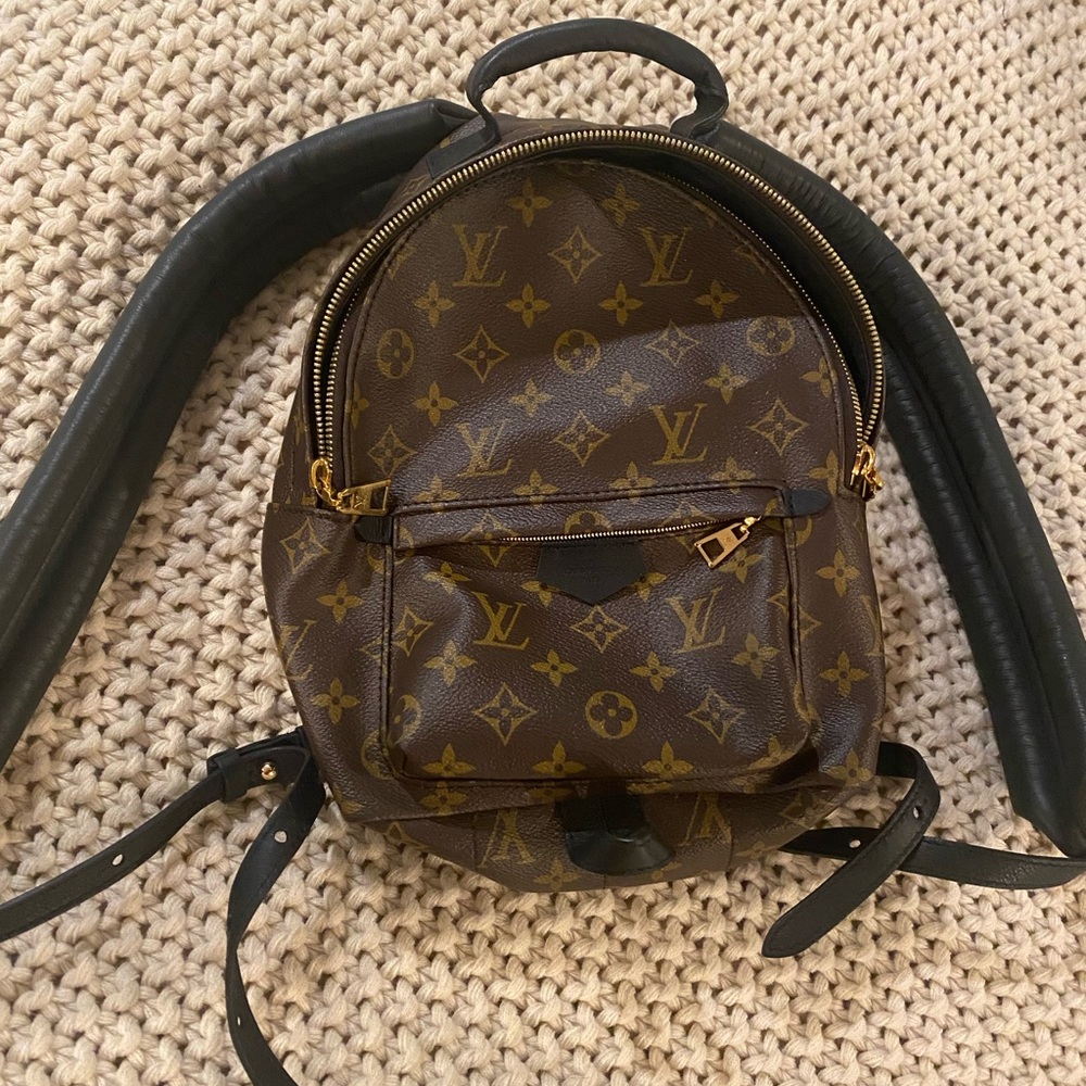 NWOT Louis Vuitton Palm Springs MM backpack